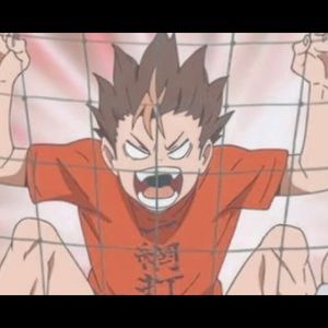 Meet your Posher, Cheyenne